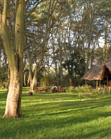 Migunga Forest Camp