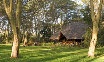 Migunga Forest Camp