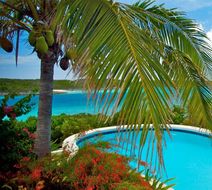 Fowl Cay Resort Pool