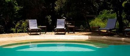 Thonga Beach Lodge Pool