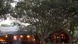 Kosi Forest Lodge Exterior
