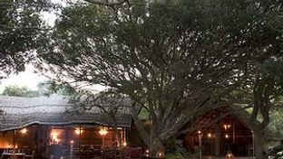 Kosi Forest Lodge