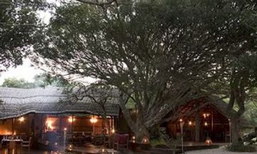 Kosi Forest Lodge