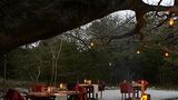 Kosi Forest Lodge Restaurant
