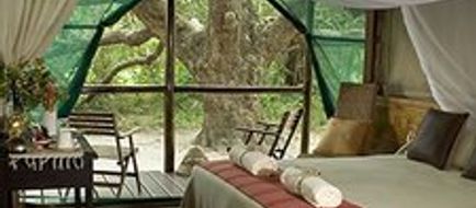 Kosi Forest Lodge Room
