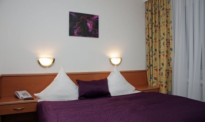 Hotel Rheingold Room