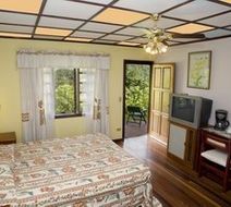 Lands in Love Hotel Room
