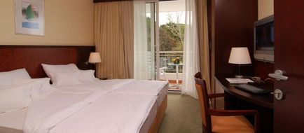 Hotel Princess Room