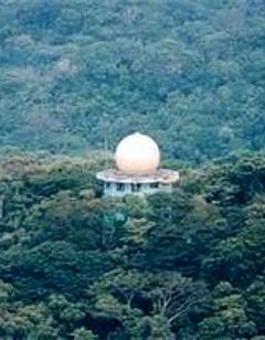 Canopy Tower