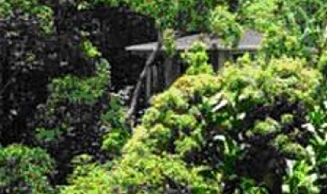 Coffee Estate Inn Exterior