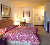 Garden Inn Room