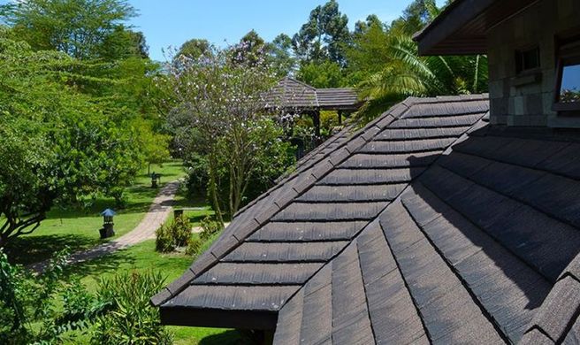 Lake Naivasha Simba Lodge Exterior