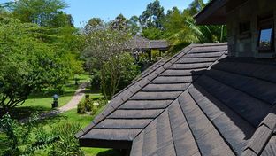 Lake Naivasha Simba Lodge