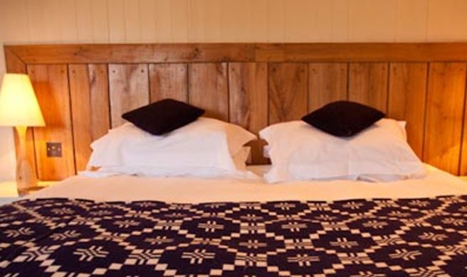 Llys Meddyg Room