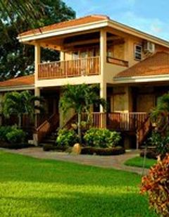 Belizean Dreams