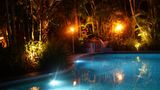 Pink Flamingo Pool