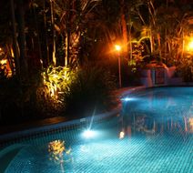 Pink Flamingo Pool