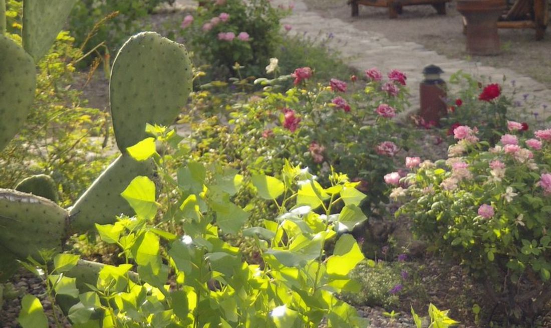 Tubac Country Inn Exterior