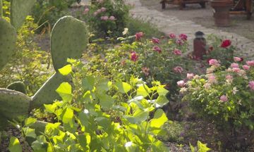 Tubac Country Inn