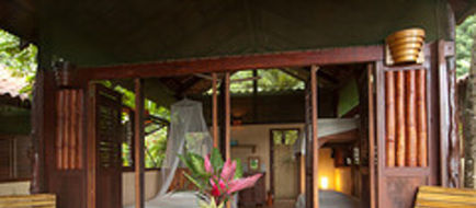 Funky Monkey Lodge Banquet