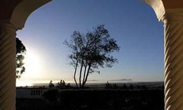 Apricot Gardens Guesthouse
