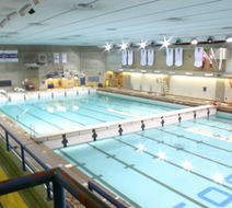 University of Toronto - New College Pool