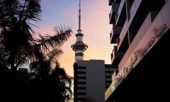 VR Auckland City