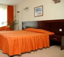 Hotel Divesta Room