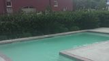 Natchez Grand Hotel Pool