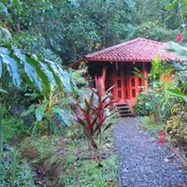 Playa Nicuesa Rainforest Lodge