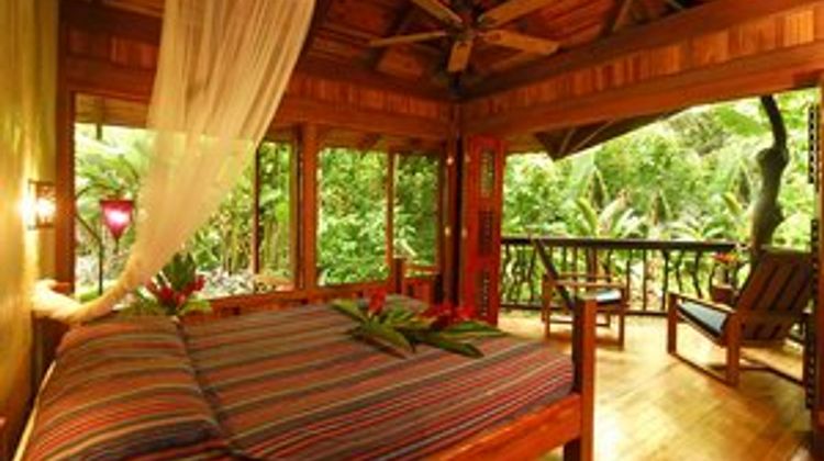 Playa Nicuesa Rainforest Lodge Room