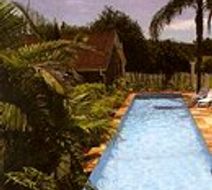Palmlea Farms Oceanfront Resort Pool