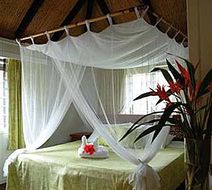Palmlea Farms Oceanfront Resort Room