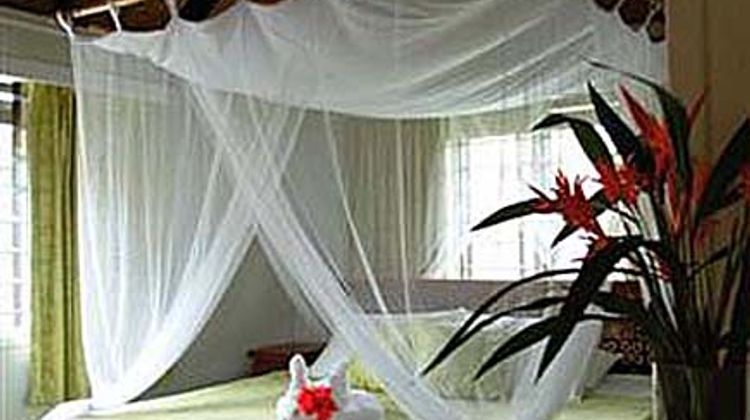 Palmlea Farms Oceanfront Resort Room