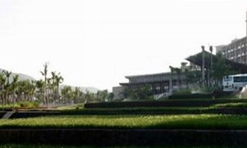 Yalong Bay Mangrove Tree Resort