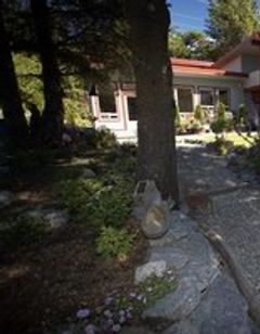 Black Bear Inn