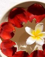 Aria Luxury Villas and Spa