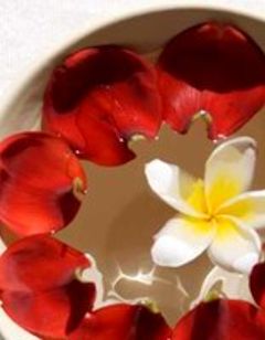 Aria Luxury Villas and Spa