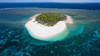 Wilson Island Resort