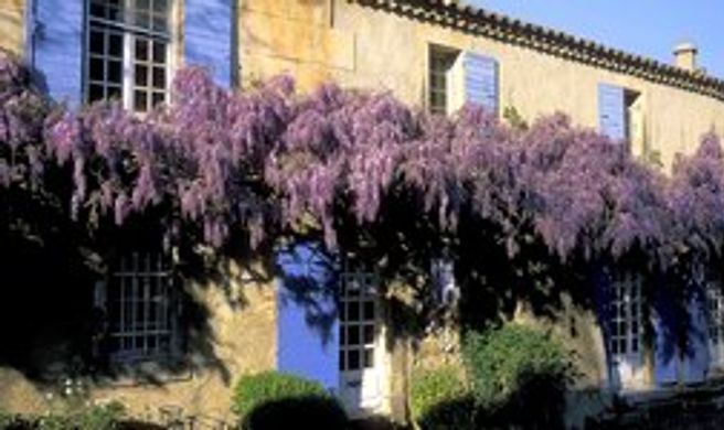La Maison du Paradou Exterior
