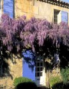 La Maison du Paradou