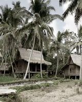 Bambu Indah