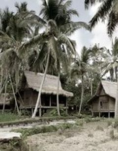 Bambu Indah