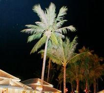 Manathai Koh Samui Pool