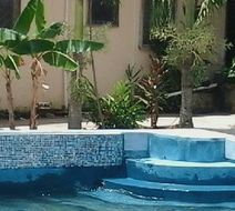 Super Palm Resort Pool