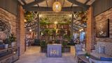 Luxury Bahia Principe Ambar-Adults Only Restaurant