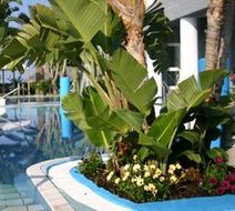 Park Hotel & Terme Romantica Pool