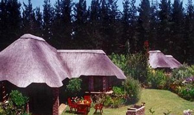 Coral Tree Cottages Exterior