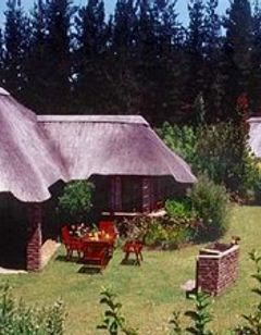 Coral Tree Cottages