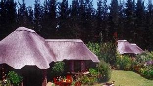 Coral Tree Cottages